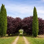 Scappo In Umbria, Torre Angelina