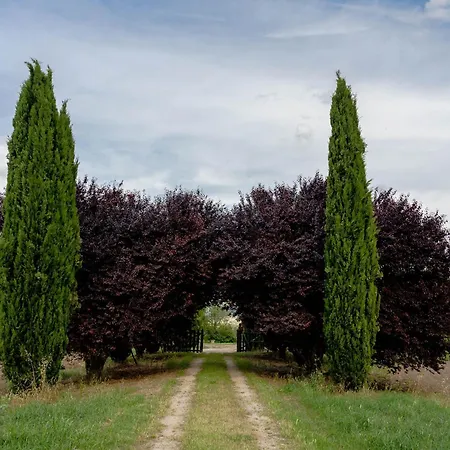 Scappo In Umbria, Torre Angelina Todi