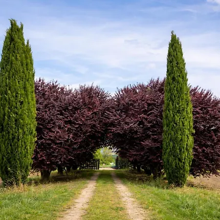Scappo In Umbria, Torre Angelina